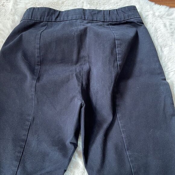 Everlane Black Skinny High Rise Side Zip Pants - Picture 6 of 9